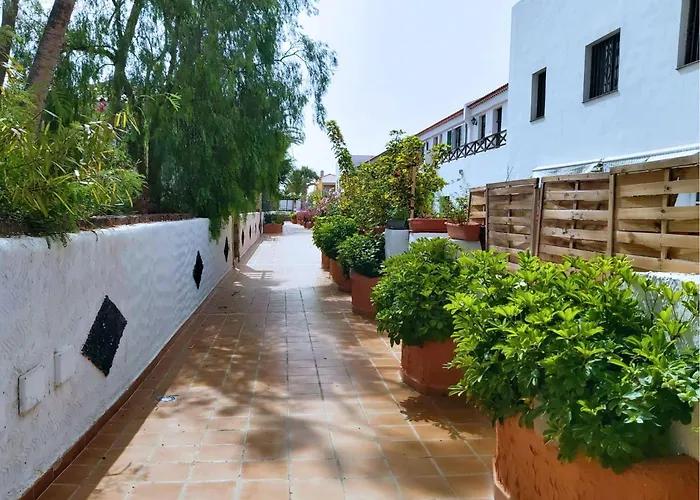 Live Costa Del Silencio Don Jose 2-0-5 *