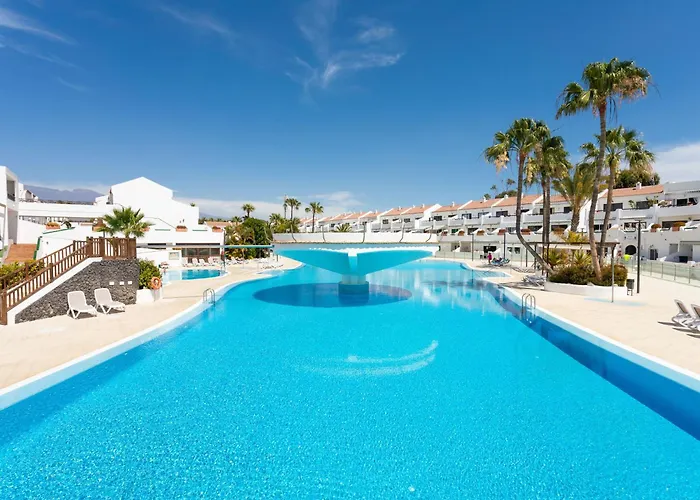 Live Costa Del Silencio Don Jose 2-0-5 * Arona (Tenerife)