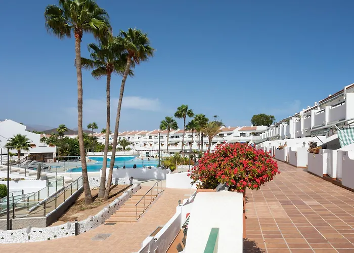 Live Costa Del Silencio Don Jose 2-0-5 アロナ